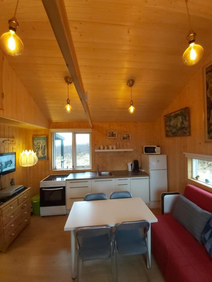 Cosy Cottage In Golden Circle Near Thingvellir Vaolaekir Eksteriør billede